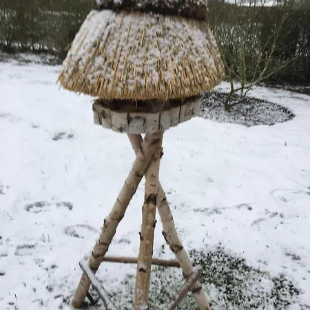 Fewo's Am Gutshaus Im Ostseeland ファームステイ