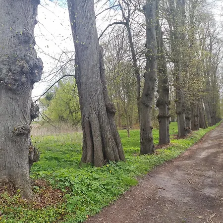 Fewo's Am Gutshaus Im Ostseeland ファームステイ Neu Jornstorf