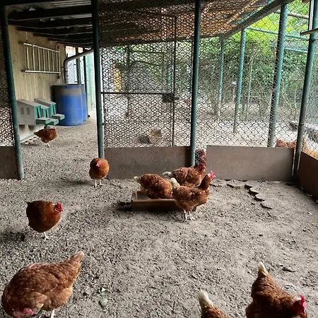 Fewo's Am Gutshaus Im Ostseeland ファームステイ *