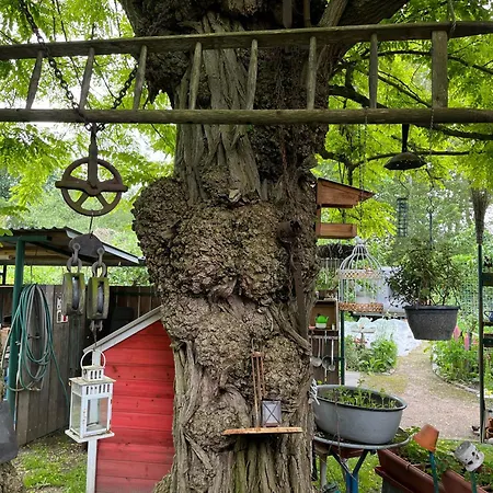 Fewo's Am Gutshaus Im Ostseeland ファームステイ Neu Jornstorf